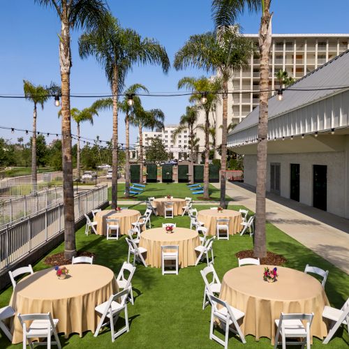 Outdoor event space with palm trees, round tables with beige tablecloths, white chairs, and string lights, set on a lawn near a building.