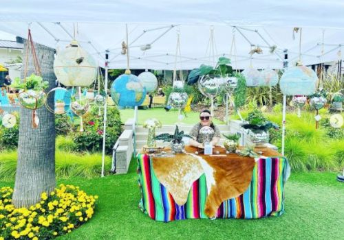 A person sitting behind a table with a colorful cloth, surrounded by hanging plants and terrariums at an outdoor market.