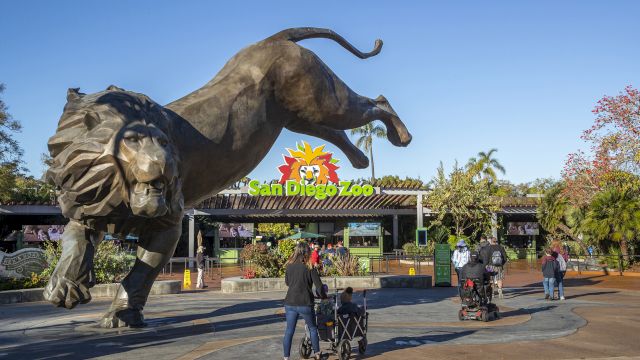 Entrance of San Diego Zoo with a large lion statue and people walking towards it in a plaza area.