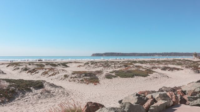 A serene beach scene with a sandy shore, scattered greenery, distant waves, and clear blue sky. Rocks are visible in the foreground ending the sentence.