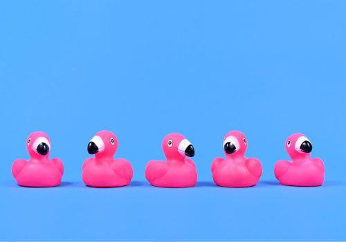 The image shows five pink rubber flamingo toys arranged in a row against a blue background.