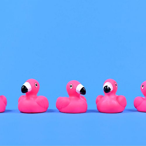 The image shows five pink rubber flamingo toys arranged in a row against a blue background.