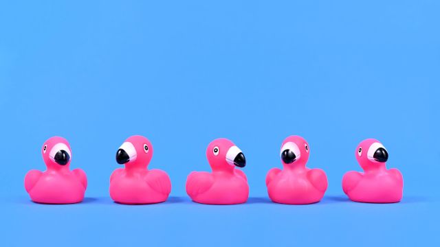 The image shows five pink rubber flamingo toys arranged in a row against a blue background.