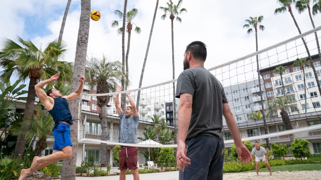 People are playing beach volleyball in a sunny location with palm trees and buildings in the background.